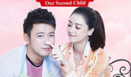 二胎 电视剧,家庭变迁与爱的传承